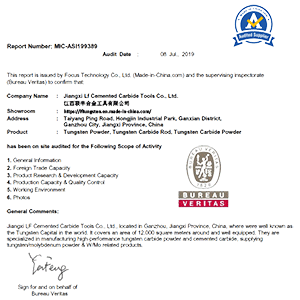 BV-CERTIFICATE